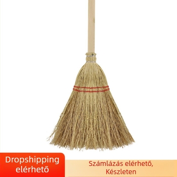 Hosszú nyelű fa seprű kemény sörtékkel a szorgó palánták tisztításához, kültéri felületek, talaj és kert tisztításához, tartós