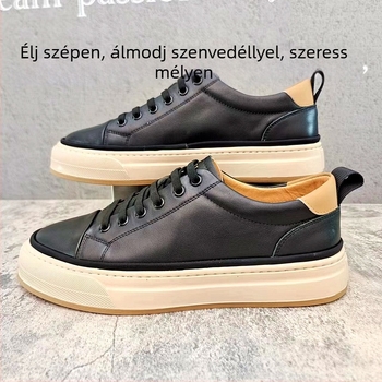 Férfi bőr slip-on cipő, fűző nélküli, kerek orrú, alacsony sarok, gumírozott talp, felső része bőrből, belső bőr és talp bőrből