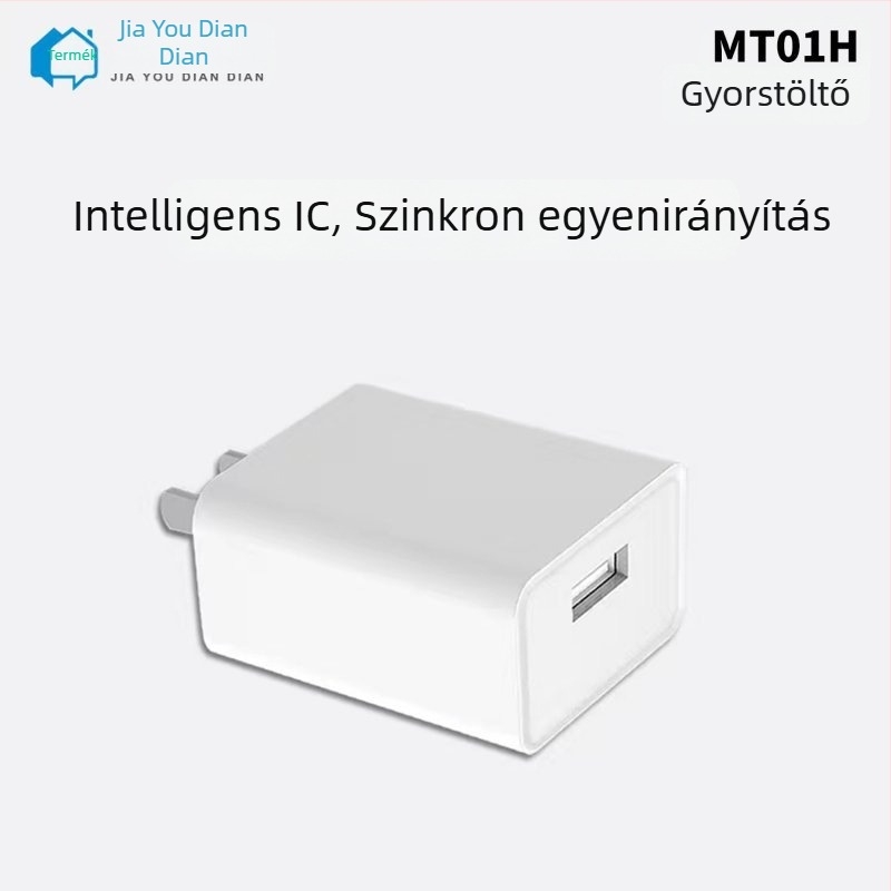 MT01H 5V 2A USB töltőfej Android és Apple Lightning eszközökhöz