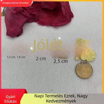 DIY hajdíszanyagok: szerencse jel patch, hajtű — retro ünnepi flitteres dísz