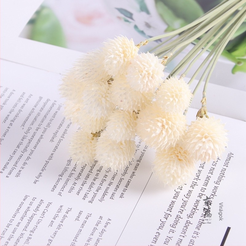 Szárított viráganyagok eperes díszítéssel otthoni dekorációhoz, DIY ajándék-doboz tartalma, üvegbúra, lebegő üvegkiegészítők, örök mini tájkép