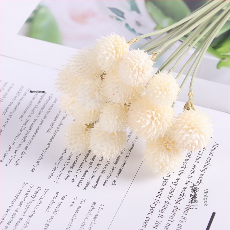 Szárított viráganyagok eperes díszítéssel otthoni dekorációhoz, DIY ajándék-doboz tartalma, üvegbúra, lebegő üvegkiegészítők, örök mini tájkép