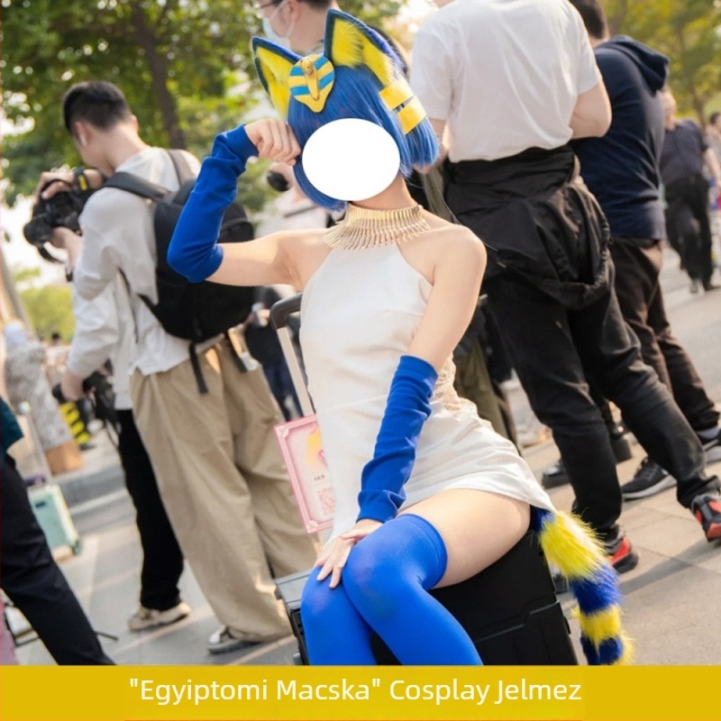 Egyiptomi macska cosplay ruhaszett farkával és füleivel nőknek