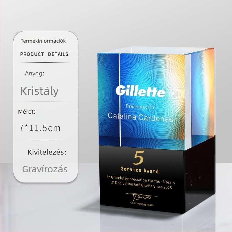 Kristály és fém trófea, személyre szabott technológiai dizájnnal, elegáns a vállalati éves találkozó elismerésére