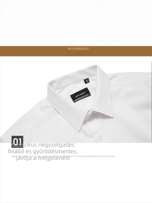 Férfi hosszú ujjú vasalásmentes slim-fit ing, zsebek nélkül, elasztikus, Turn-Down gallér