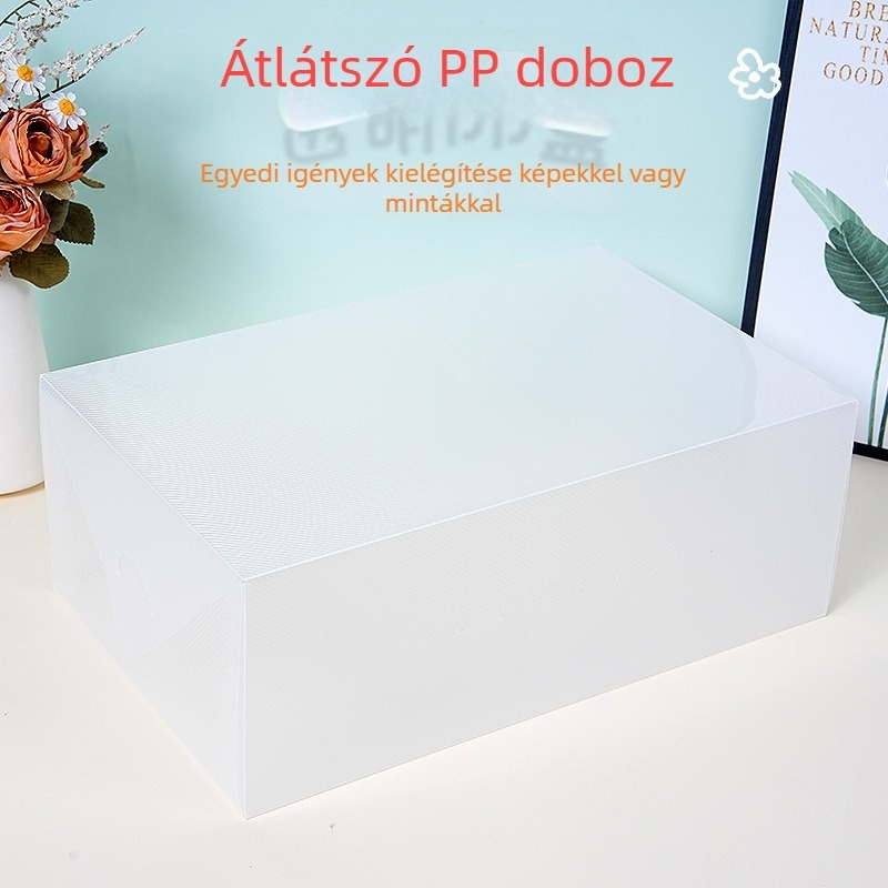 Személyre szabható PP hordozható tároló doboz rekeszekkel, porvédett, fehérneműk, cipők és kiegészítők számára, egyedi logóval
