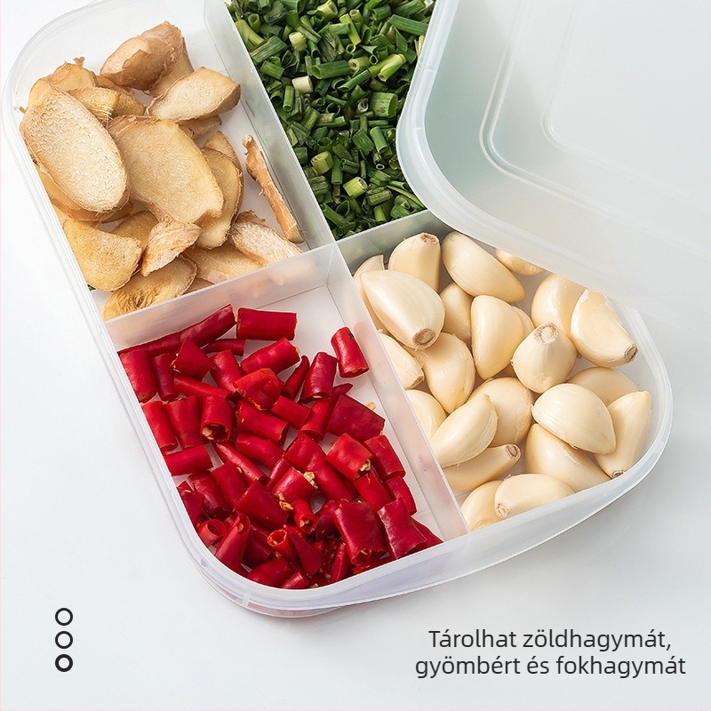 Négyrekeszes frissességmegőrző doboz pácolt ételekhez, húsdarabokhoz és ízesítőkhöz (zöldhagyma és gyömbér)