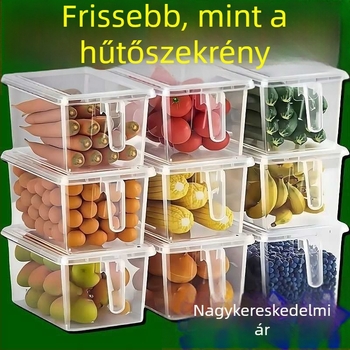 Átlátszó hűtőszekrény tároló doboz, fagyasztó használatra – tojás, knédli és porciók szervezője