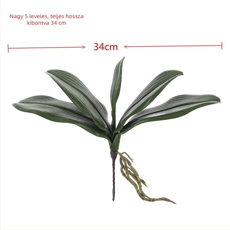 Valódi tapintású Phalaenopsis levelek – művirág dekoráció esküvőre és otthonra