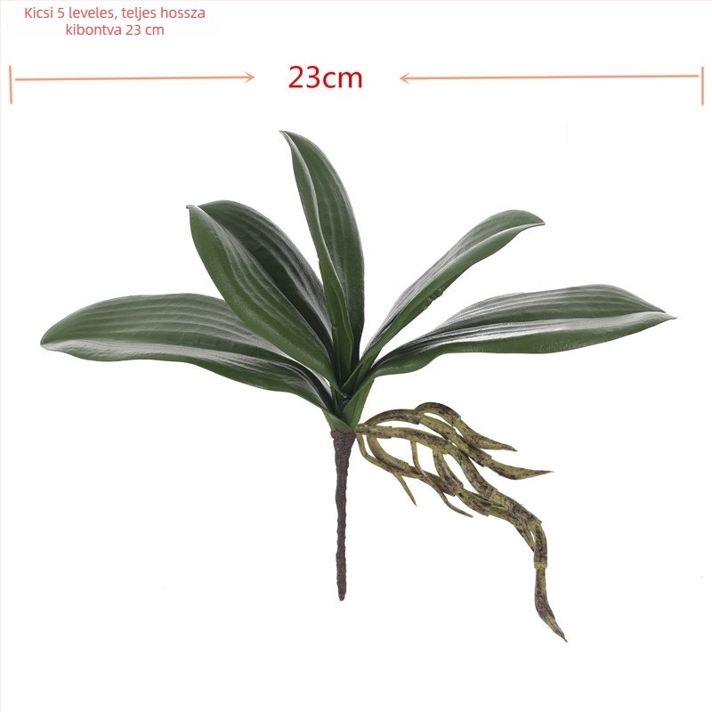 Valódi tapintású Phalaenopsis levelek – művirág dekoráció esküvőre és otthonra