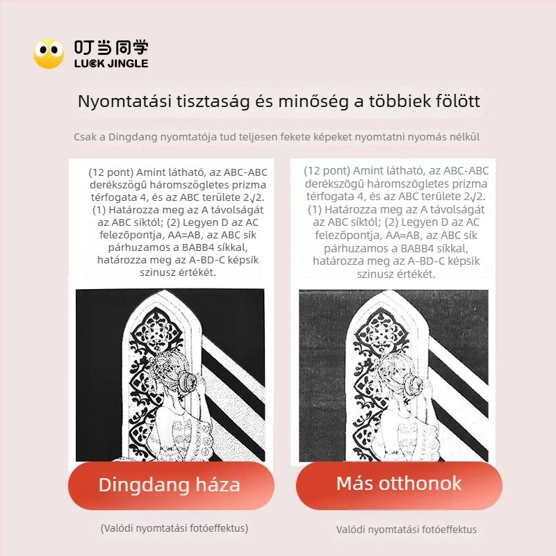D1 önragasztó hordozható termikus címkenyomtató hibás kérdésekhez