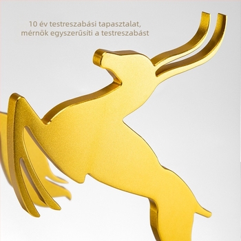 Kiemelkedően minőségű fém trófea 3D-modellezéssel és testreszabással nagy méretű vállalati eseményekre, anime IP-vel inspirált emlékérem