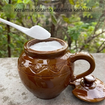 Kerámiás sótartó fedővel és kanállal, nedvességálló fűszertartó, retro stílus, kapacitás 1 kg