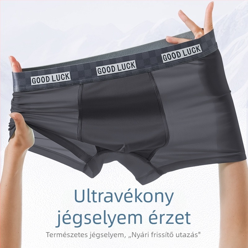 Jégselyem férfi boxeralsónadrág, lélegző, gyorsan száradó, ultra vékony, antibakteriális