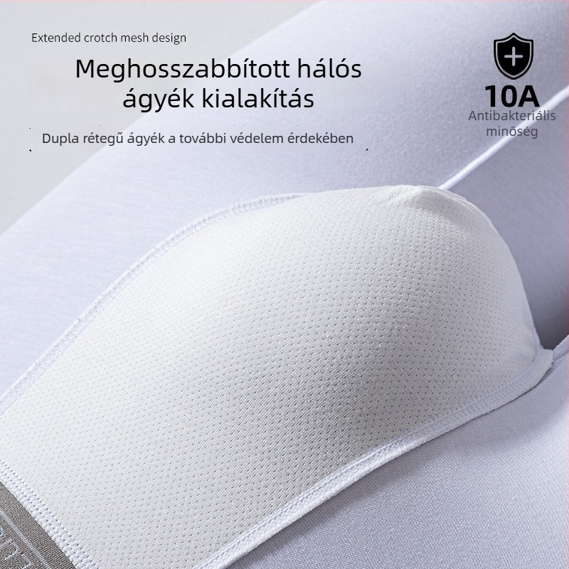 Férfi sportos boxeralsó, 10A antibakteriális, hosszított fazon, középmagas derekú, légáteresztő, dörzsölés elleni, modal anyag