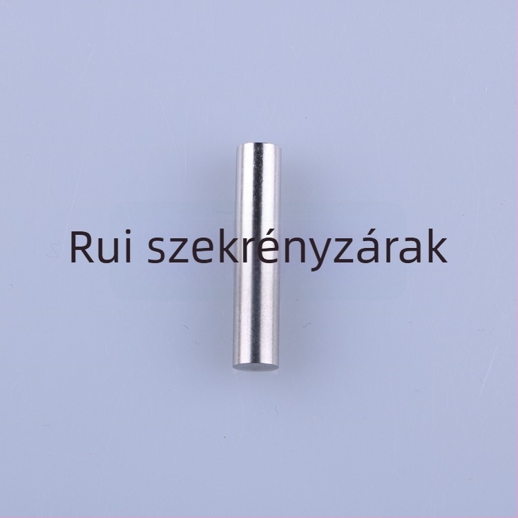 Ruiyu Rozsdamentes acél hengeres pánt, kétláncos szekrényhez való hegesztett pánt