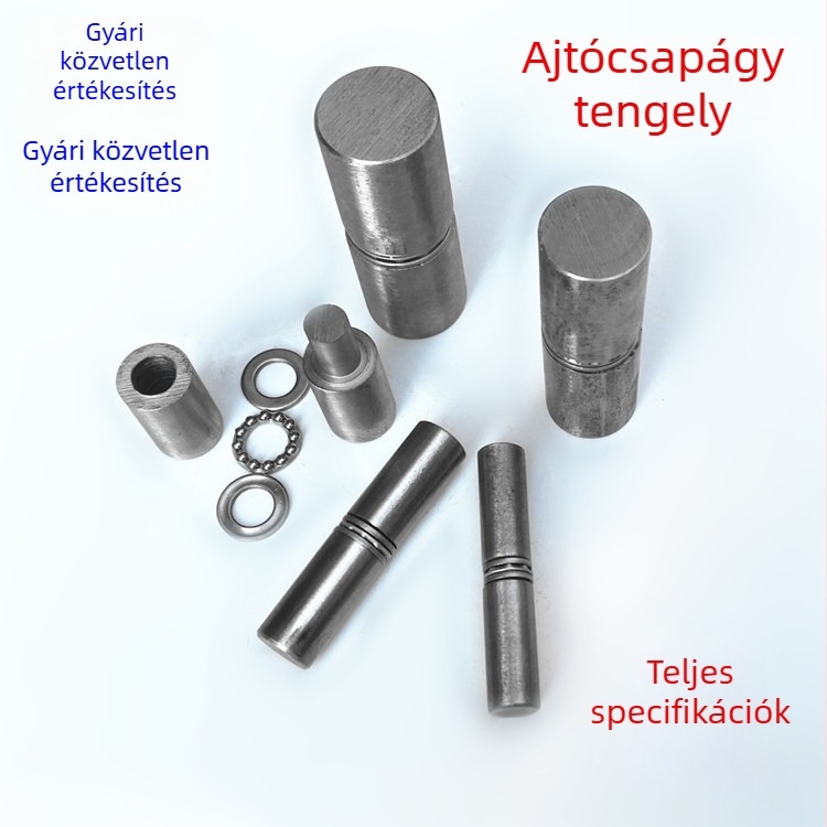 Vas ajtócsukló hengertengellyel és csapágyakkal