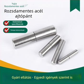304 rozsdamentes acél ajtócsap, hegesztett pánt, dupla ajtócsap, hidegformázás
