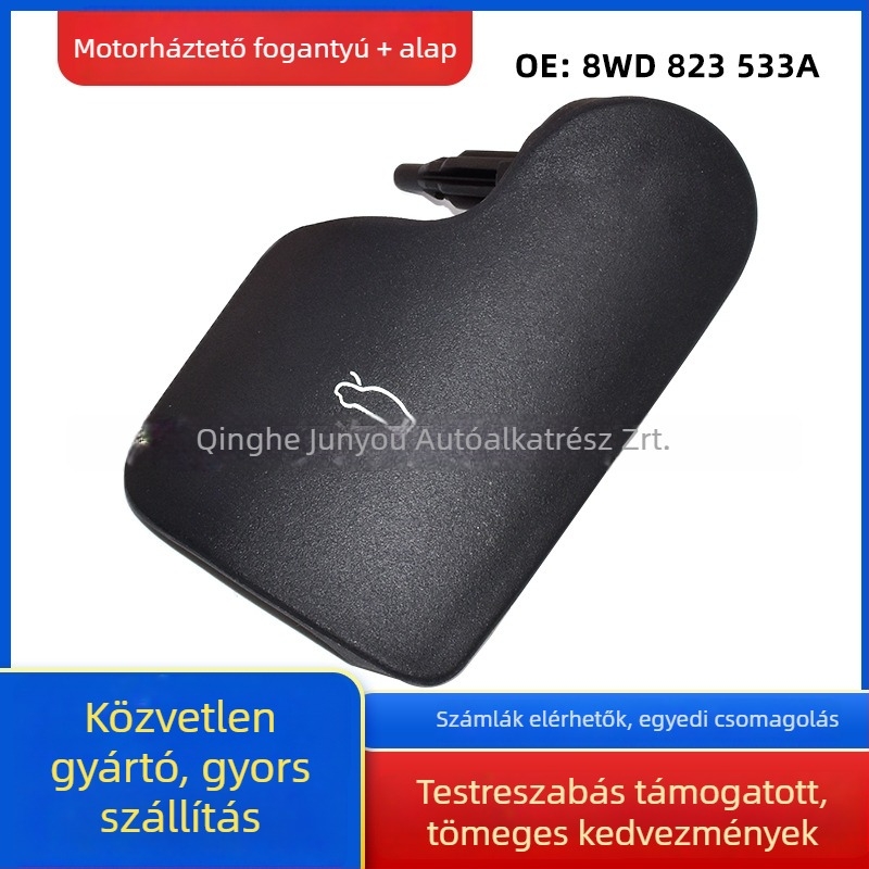 8WD823533A 8WD823633A Motortető fogantyú és kulcsalap Audi A4L Magotan B9