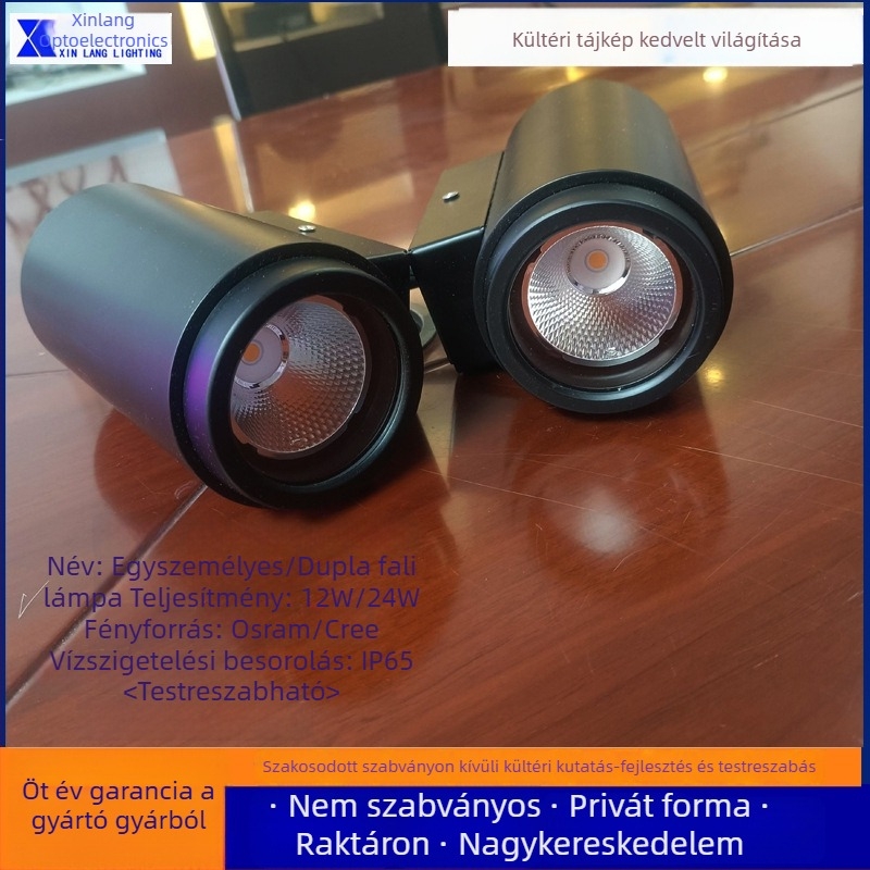 Kültéri falikar kettős fejjel, koridúrokra, udvarokra, külső falakra, szállodákhoz és villákhoz, nappalikhoz