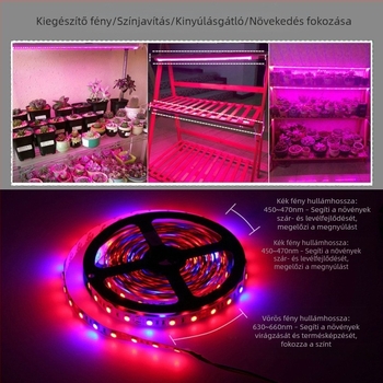 12V 5050 LED növénytermesztő szalag, nem vízálló, távirányítós fényerő-szabályozás, 120° sugárzási szög, CRI 70, virágok és zöldségek számára
