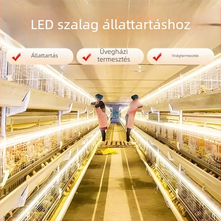 Mezőgazdasági LED-fénycsík, kültéri vízálló 220V, ultranagy fényerő csirketelepekhez és üvegházakhoz