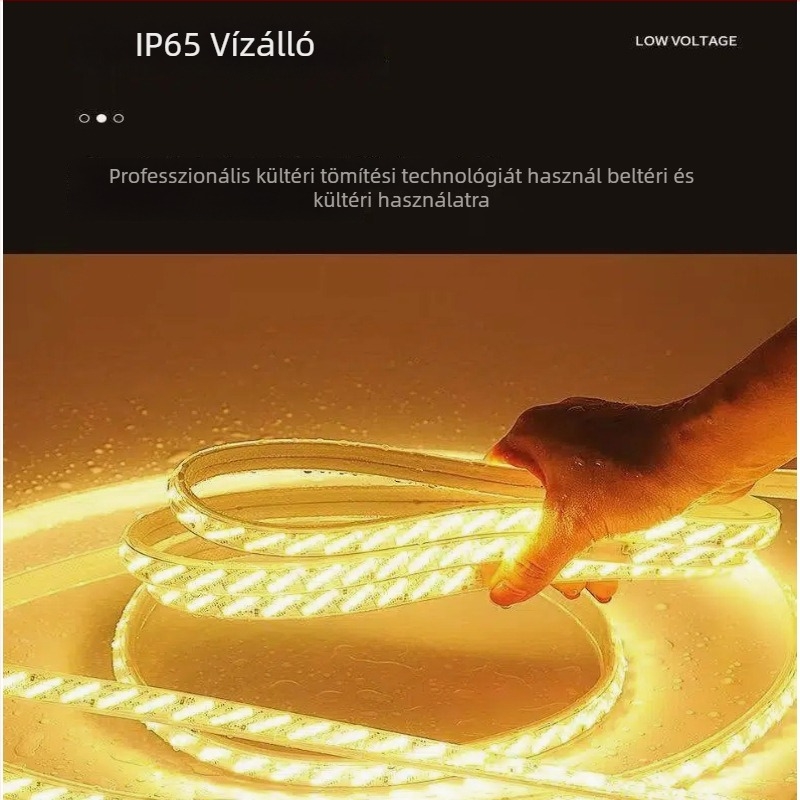 Kültéri vízálló öt soros LED-szalag, 320 LED-del, 16W, 120° sugárzási szög, Philips LED-chippek 2835