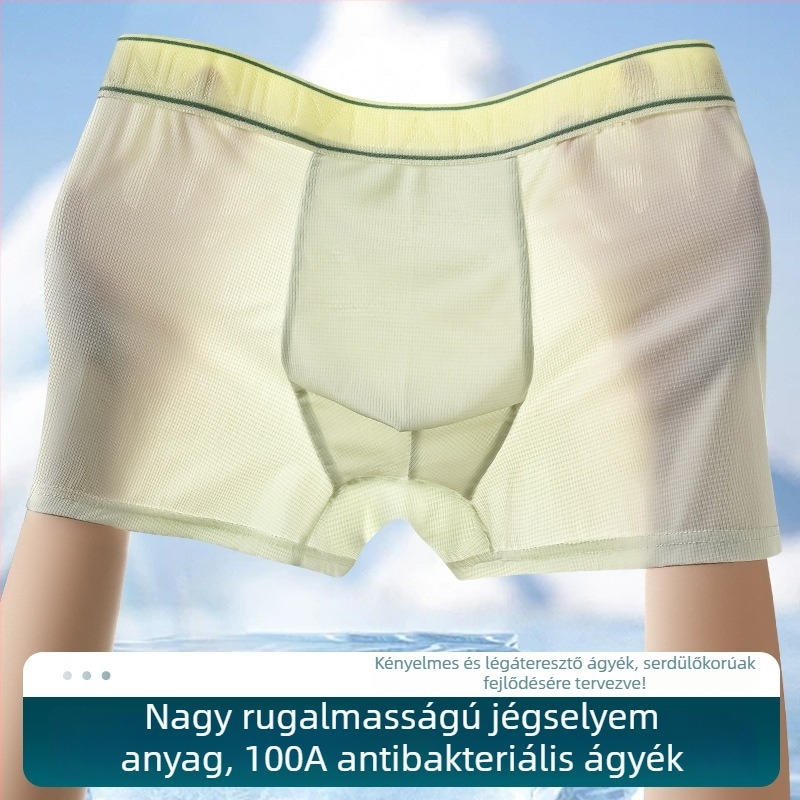 Férfi Ice Silk boxer briefs, antibakteriális, lélegző, gyorsan száradó