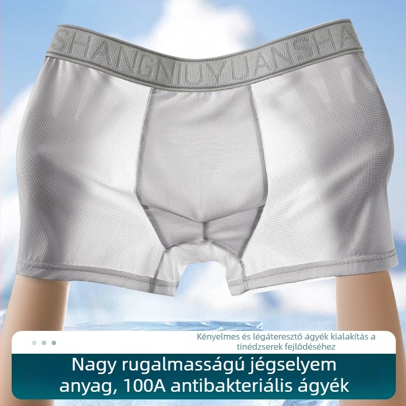 Férfi Ice Silk boxer briefs, antibakteriális, lélegző, gyorsan száradó