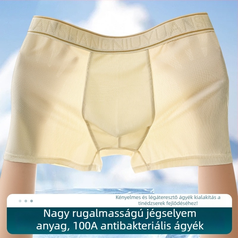 Férfi Ice Silk boxer briefs, antibakteriális, lélegző, gyorsan száradó