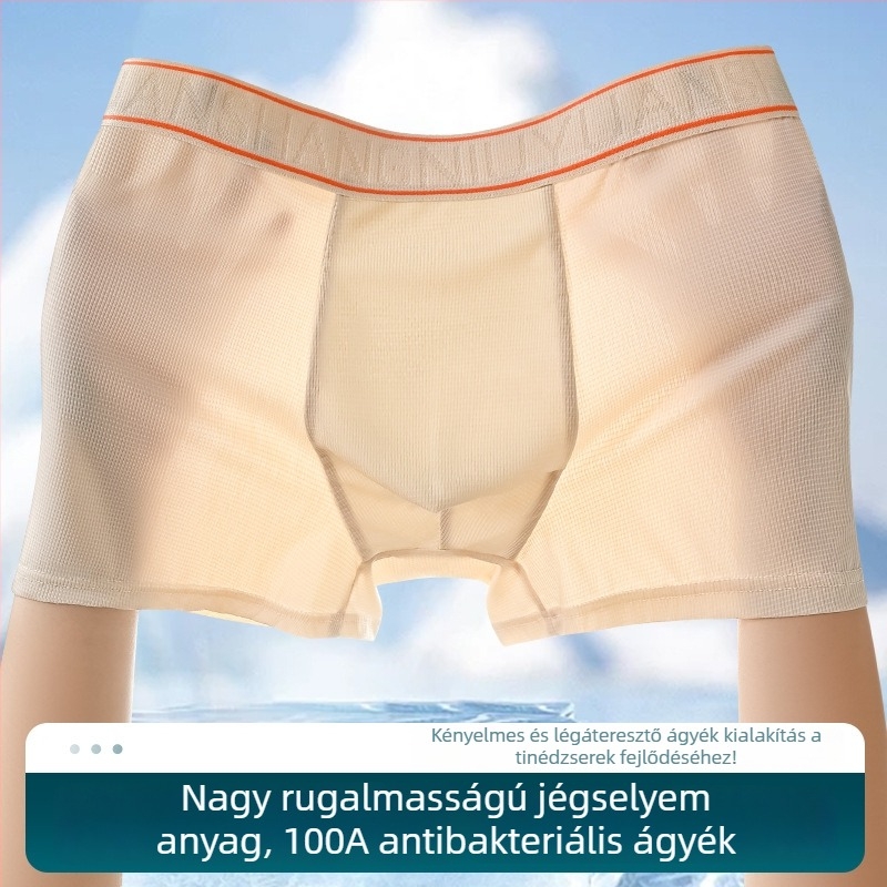 Férfi Ice Silk boxer briefs, antibakteriális, lélegző, gyorsan száradó