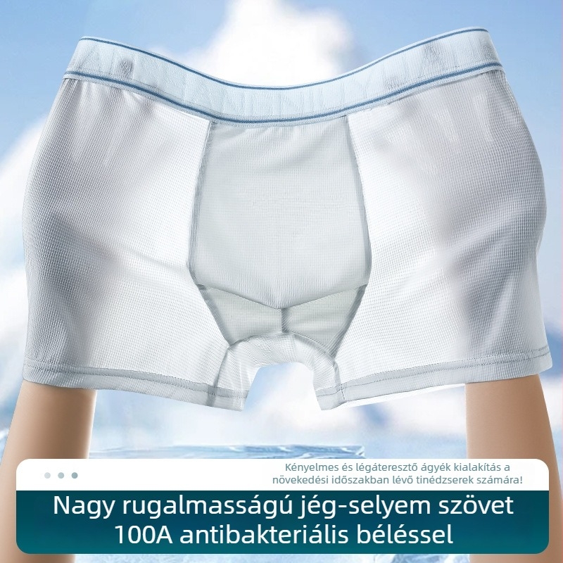 Férfi Ice Silk boxer briefs, antibakteriális, lélegző, gyorsan száradó