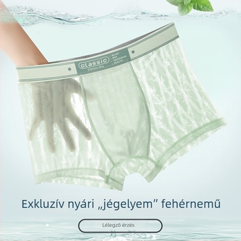 Férfi jégselyem vékony, légáteresztő boxeralsó mintás átlátszó hálóval, gyorsan száradó
