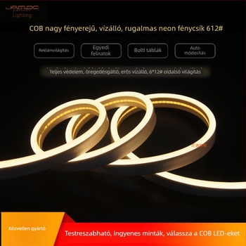 Magasfeszültségű, rugalmas LED-szalag 6×12 reklámhoz, DIY stílus, 110V oldalsó kibocsátású szilikoncsík vízálló