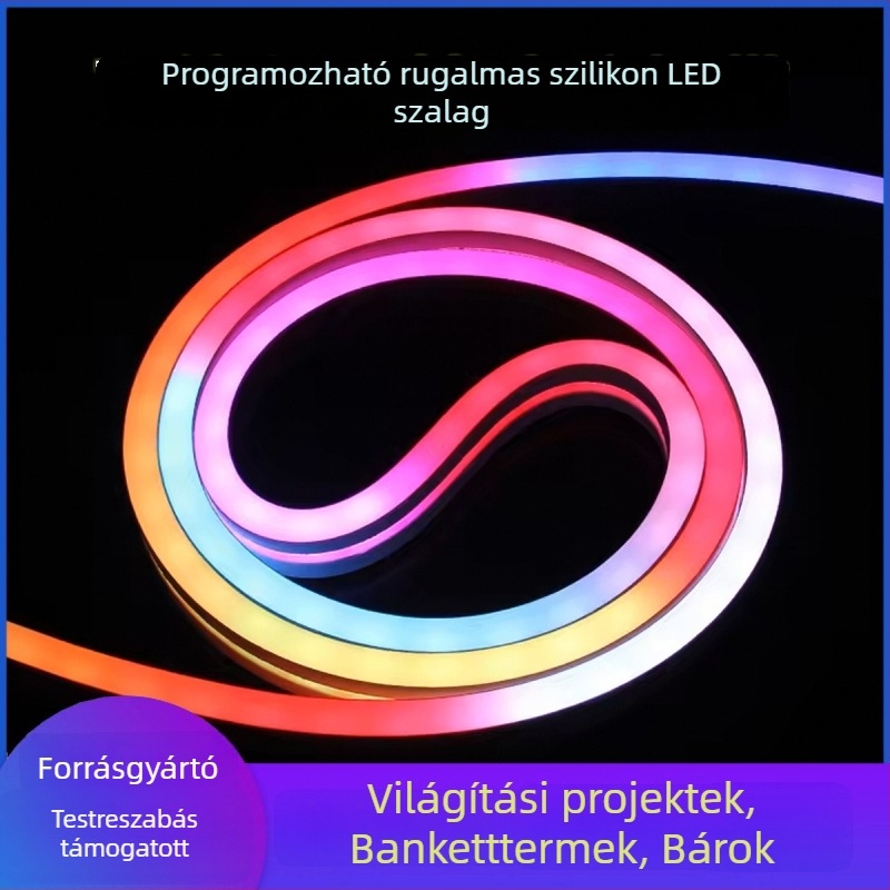 24V DMX512 kültéri vízálló, rugalmas LED neonfény-szalag falak külső megvilágításához és futófényekhez