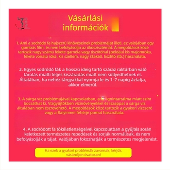 Merült fa gyökérszobrászat akváriumi díszítéshez: lila teakfa gyökér és azálea gyökér, hermit crab élőhelye, mikro tájkép dekoráció