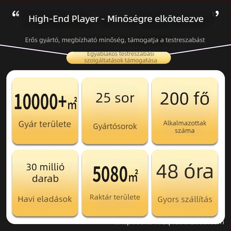 Férfi rövid ujjú póló 100% pamutból, nyárra, laza szabás, hétköznapi stílus