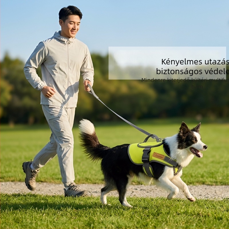 Kutyahám kontrasztos színű dizájnnal és mellkasi pánttal