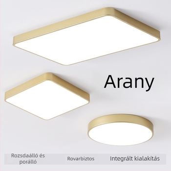 Pudrol LED mennyezeti lámpa, egyedi gyártású, modern minimalistikus stílusban, nappali, előszoba és hálószoba számára, ultra vékony