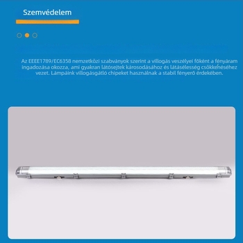 LED T8 kétszálas lámpa robbanásbiztos lámpabúrával, vízálló, párásodás- és porálló, tisztító világítással, tartóval