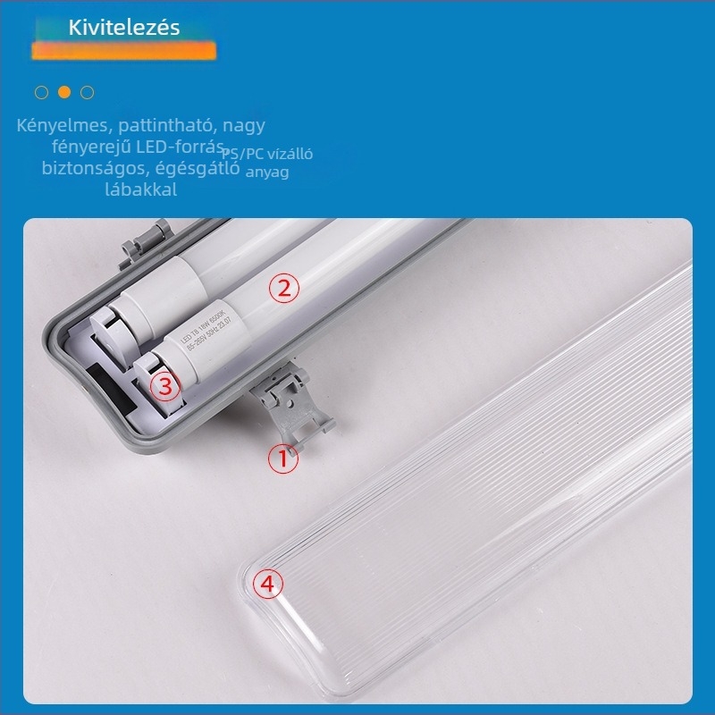 LED T8 kétszálas lámpa robbanásbiztos lámpabúrával, vízálló, párásodás- és porálló, tisztító világítással, tartóval