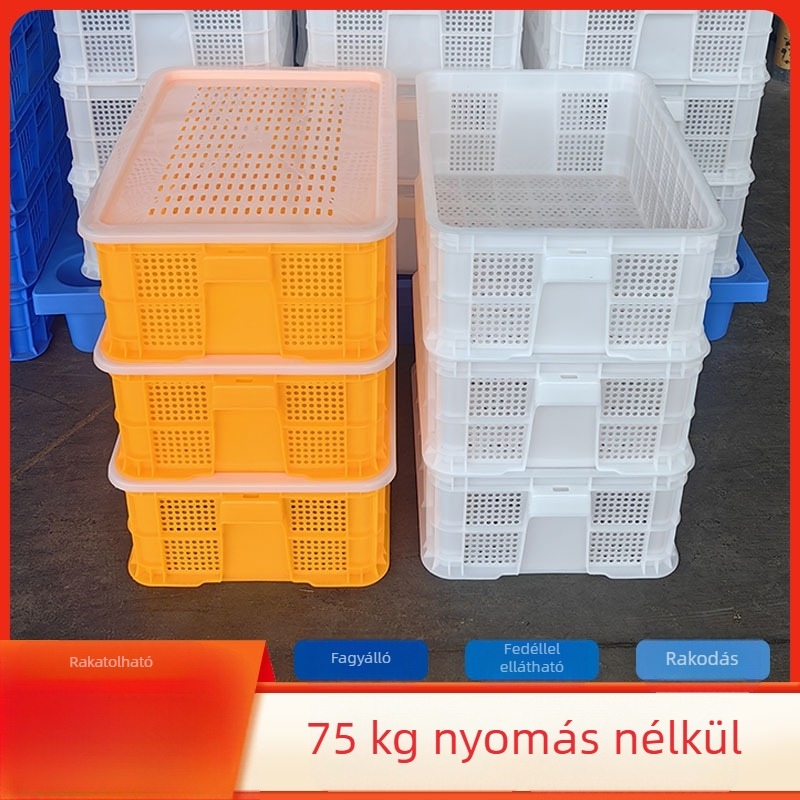 Műanyag szellőző kosár fedővel élelmiszer szállítására, zöldség és gyümölcs tárolására