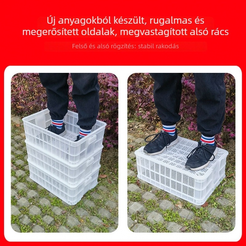 Műanyag szellőző kosár fedővel élelmiszer szállítására, zöldség és gyümölcs tárolására