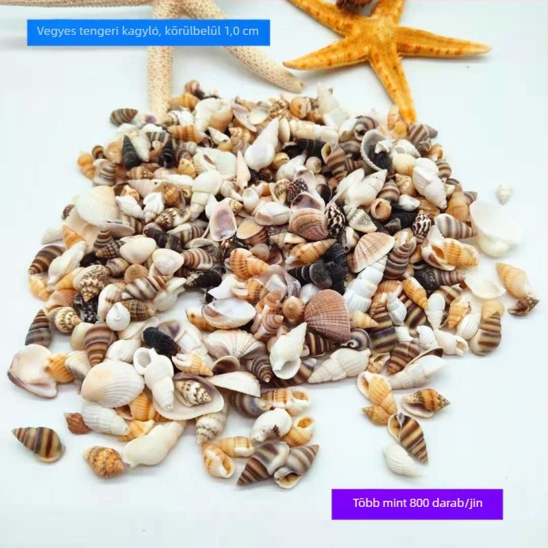 Pastorális stílusú díszcsigahéjak, apró kagylók körülbelül 1 cm, értékesítés tömeg alapján