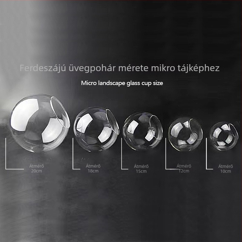 Áttetsző, kör alakú üvegváza ferde nyílással, mikro tájhoz és hidroponikus szukkulenták bemutatásához — beltéri dekoráció.