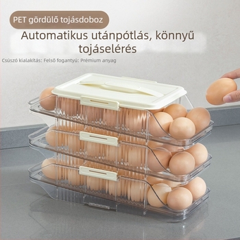 Műanyag tojás tároló doboz csúszó fiókkal a hűtő oldalán — konyhai tojás tároló