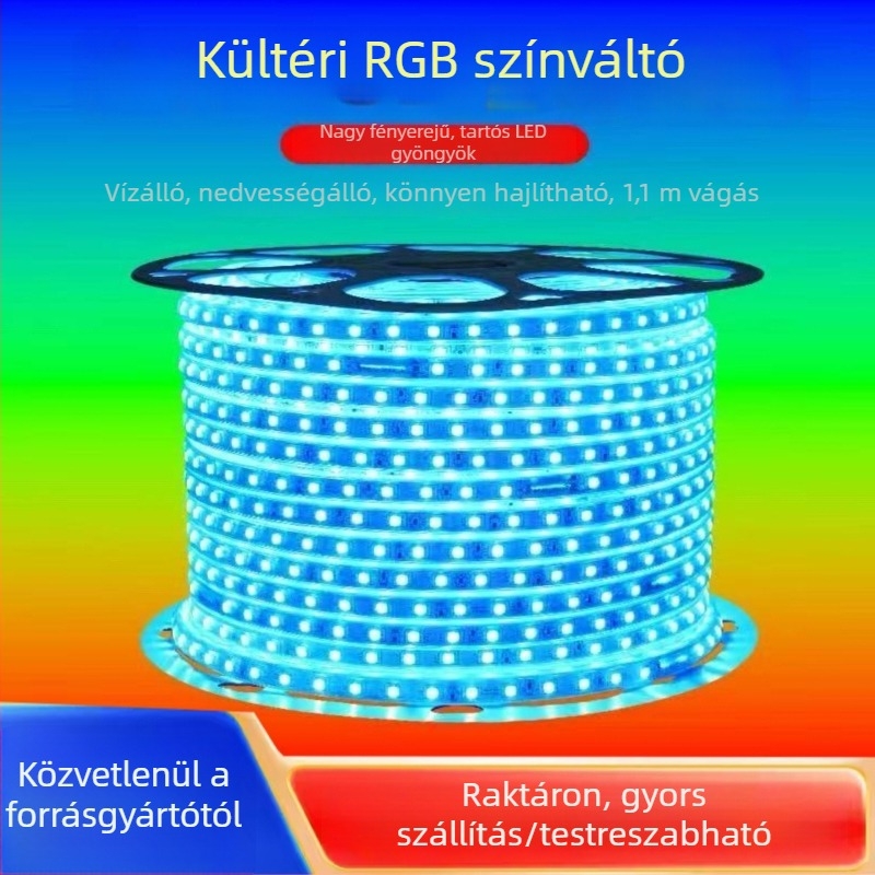 220V RGB LED-szalag 5050 kültéri, IP67 vízálló, távirányítós színváltó világítás reklámprojektekhez