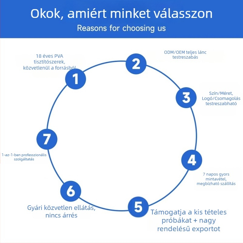 Otthoni multifunkcionális PVA tisztító kefe puha sörtékkel és fogantyúval autó, konyha, edények és poharak mosásához