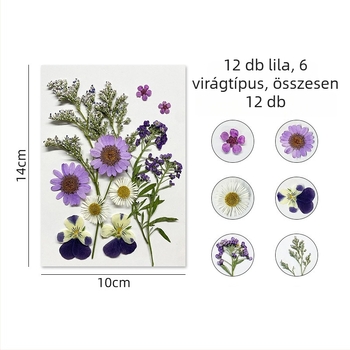 Forget-me-not száraz virágokból álló készlet préselt virágművészethez, falidekorációhoz, vákuumcsomagolás