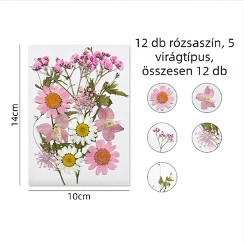 Forget-me-not száraz virágokból álló készlet préselt virágművészethez, falidekorációhoz, vákuumcsomagolás